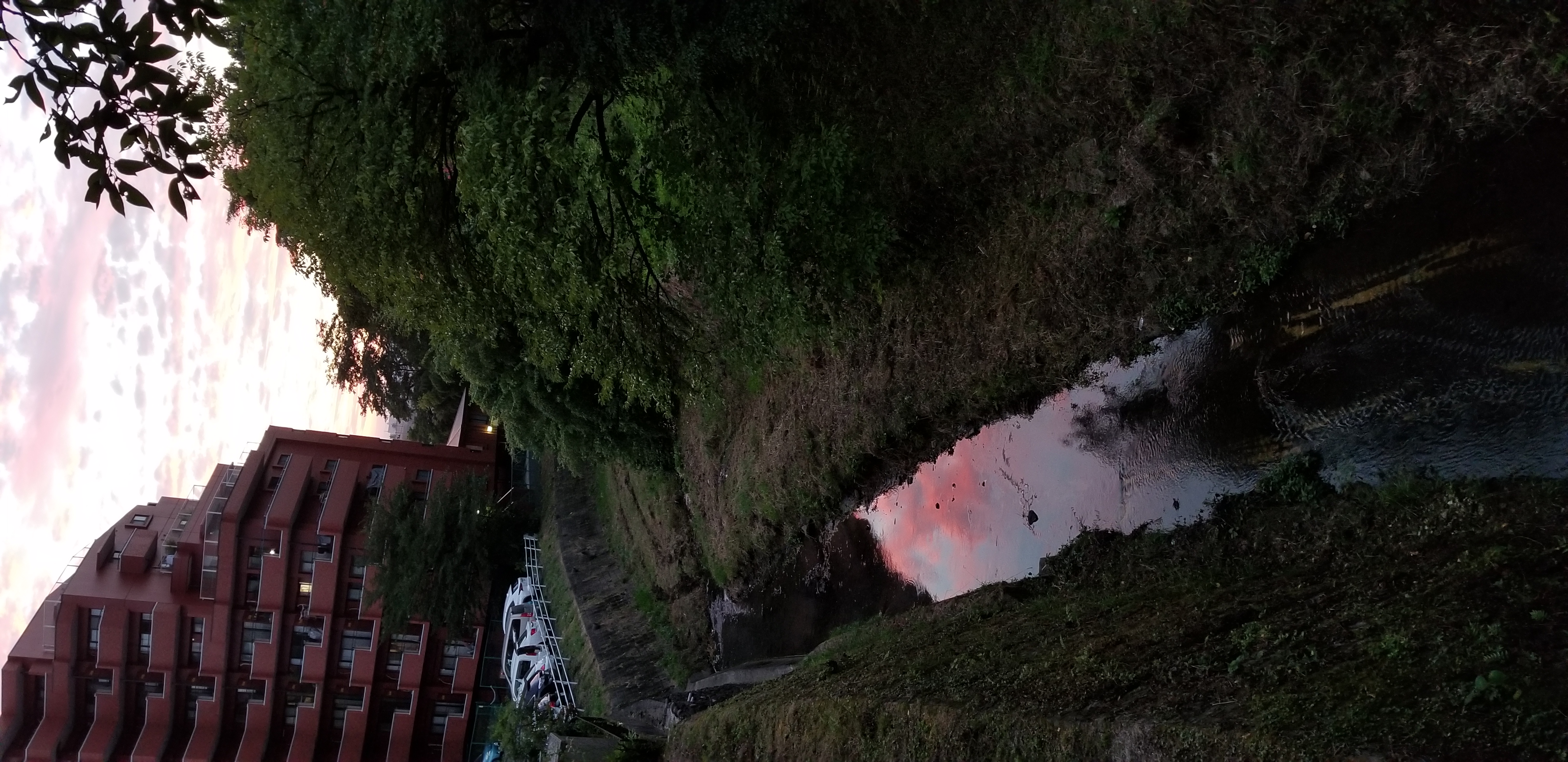 シノヤマユサキュパスネタ