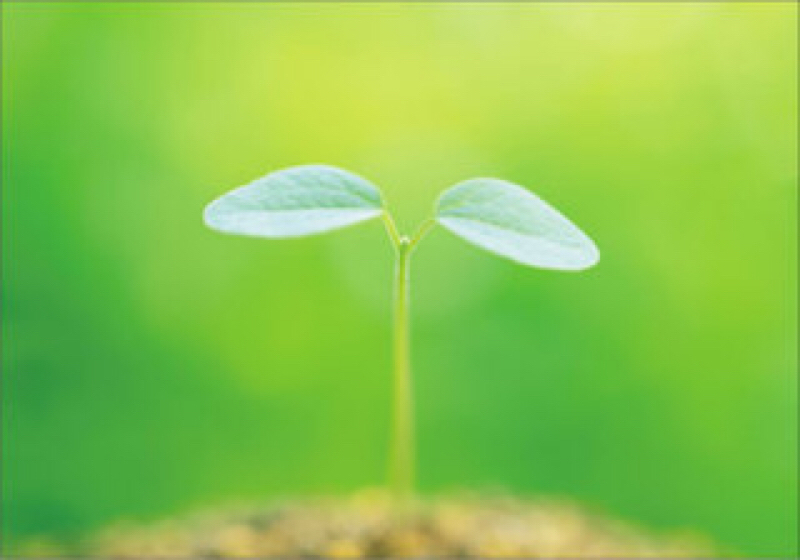 【りゅーと。（相方）の好きなところ10】