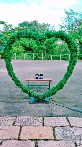 hshmのはなしとか