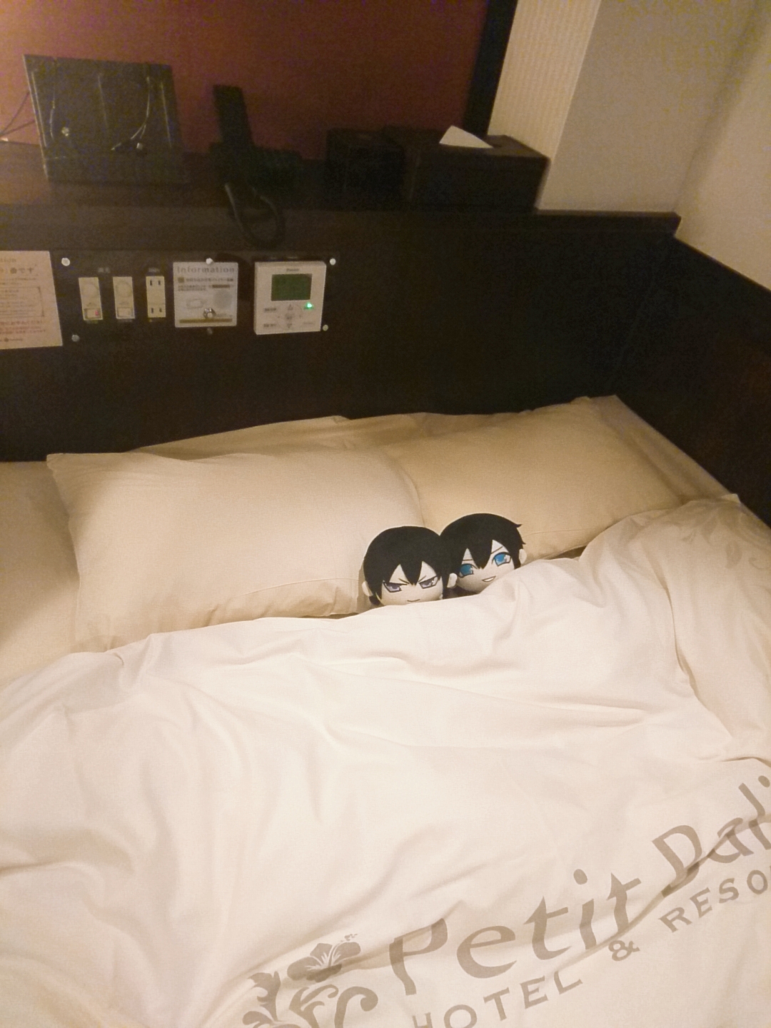 hshmのはなしその17