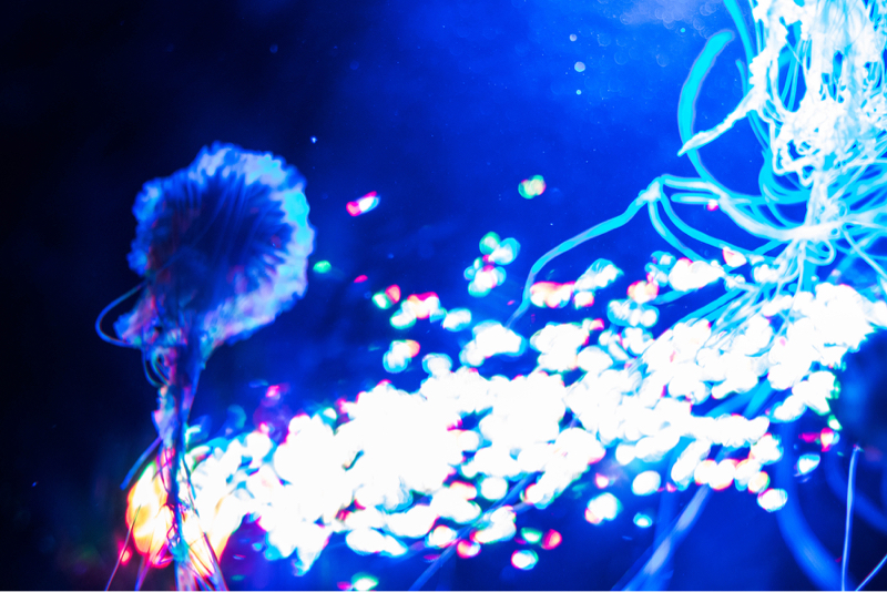 思ったことをとりあえず喋る