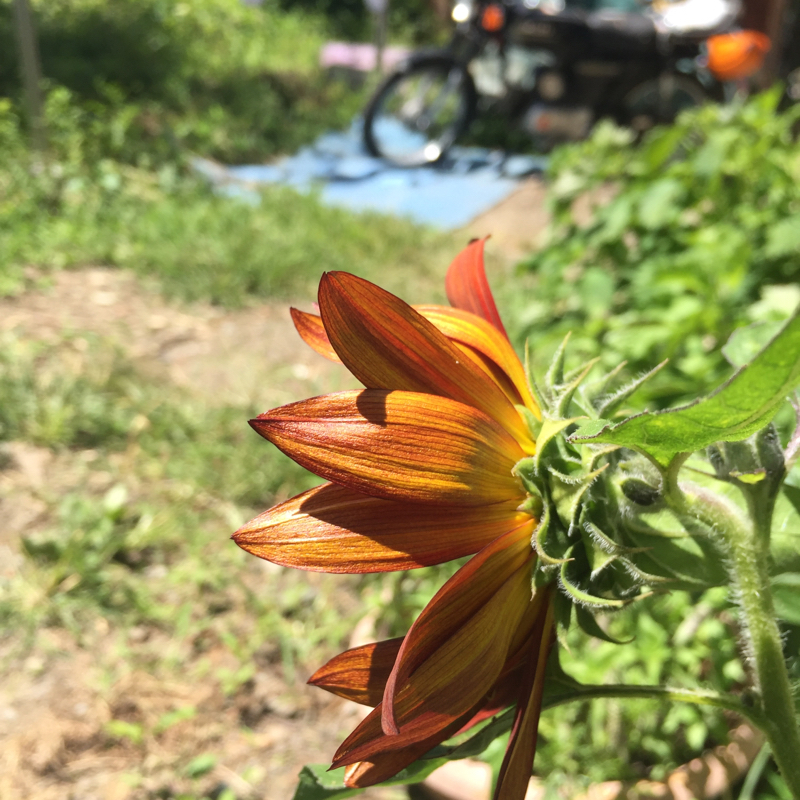 これはなんだ？