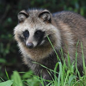 第586回 眠れない夜におすすめの動画 (お便り144)