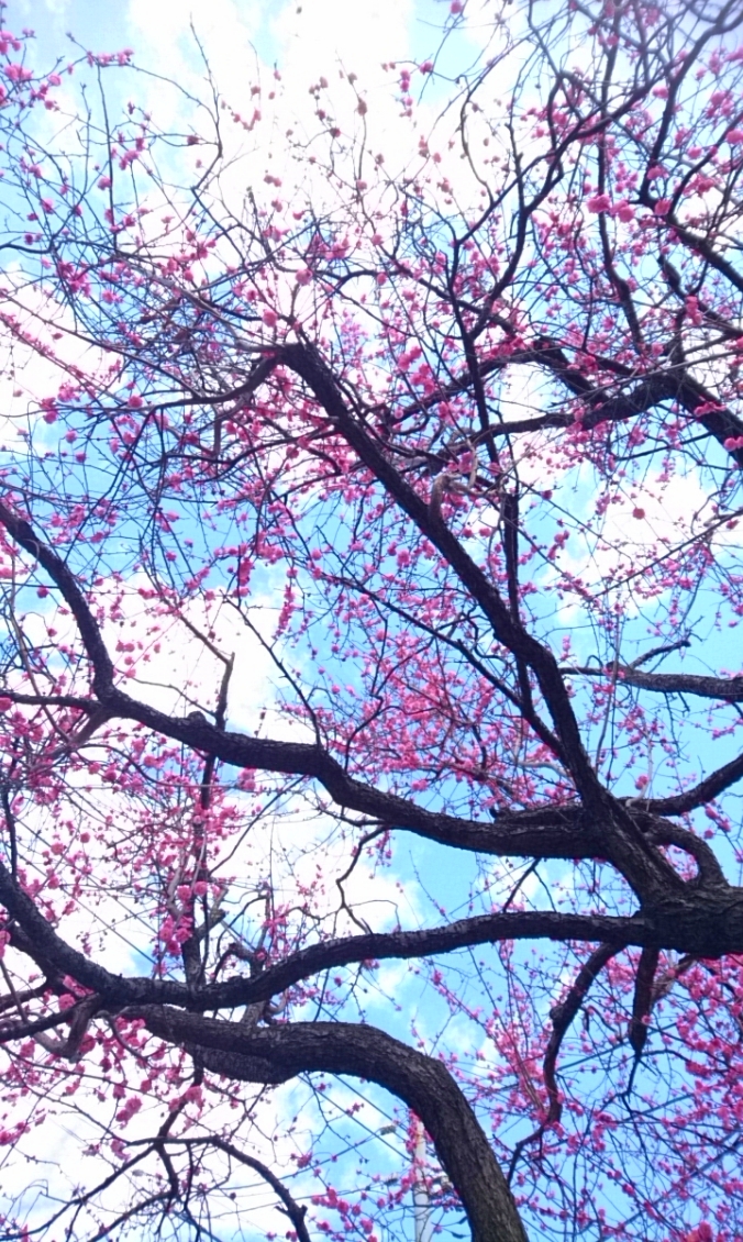 だらだら喋るだけ5