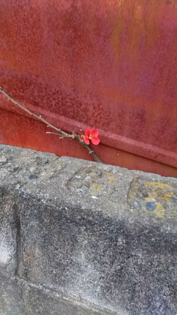 だらだら喋るだけ6