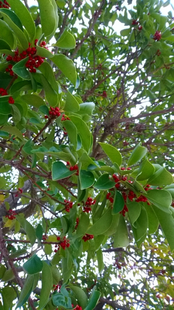 だらだら喋るだけ7