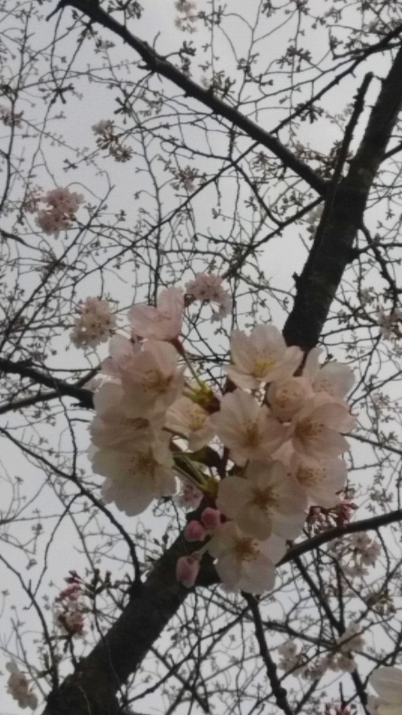 だらだら喋るだけ8  前半