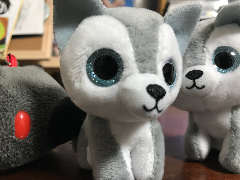 質問箱に答える