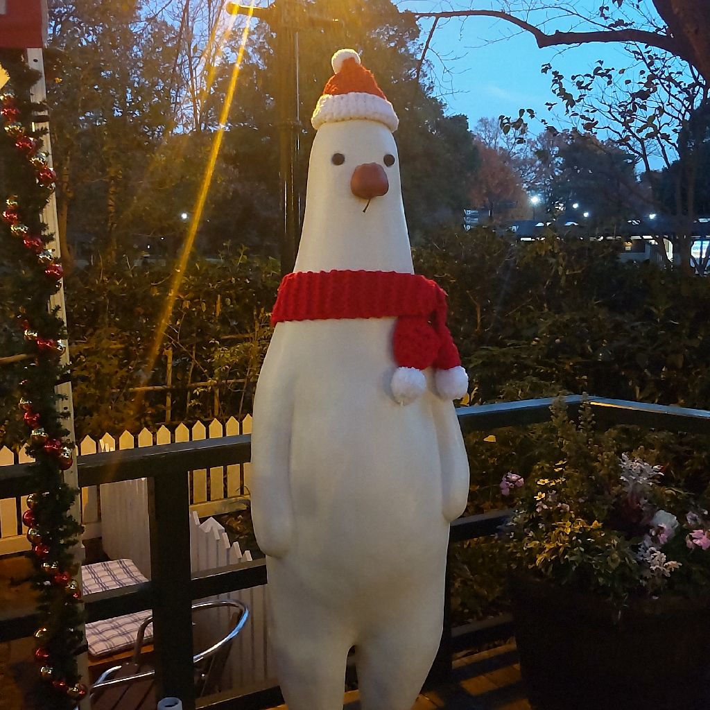 くらら⊿の番組