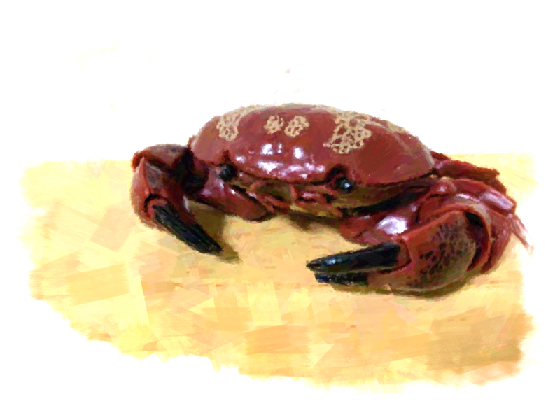 眠くなったら寝る