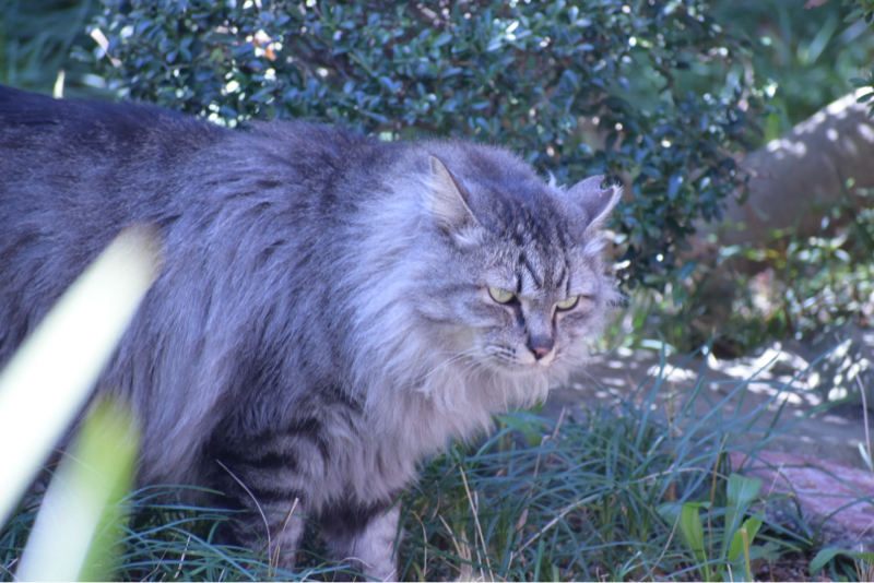 飯田と田中のゆるトーク