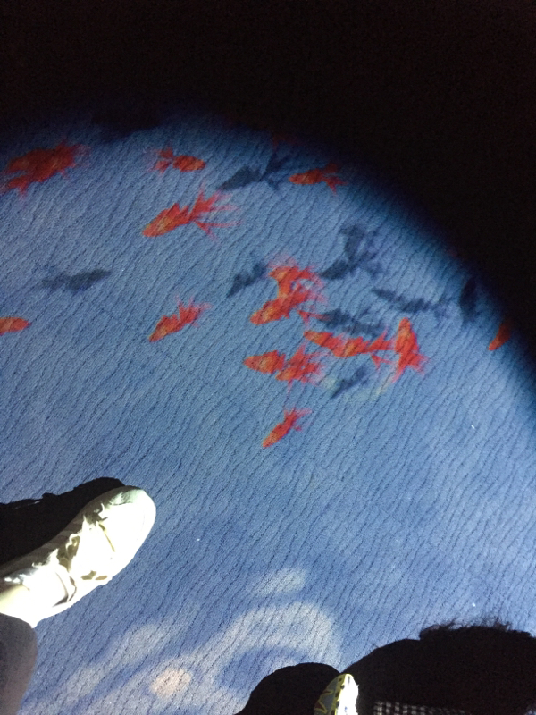 ジャンルいろいろ。