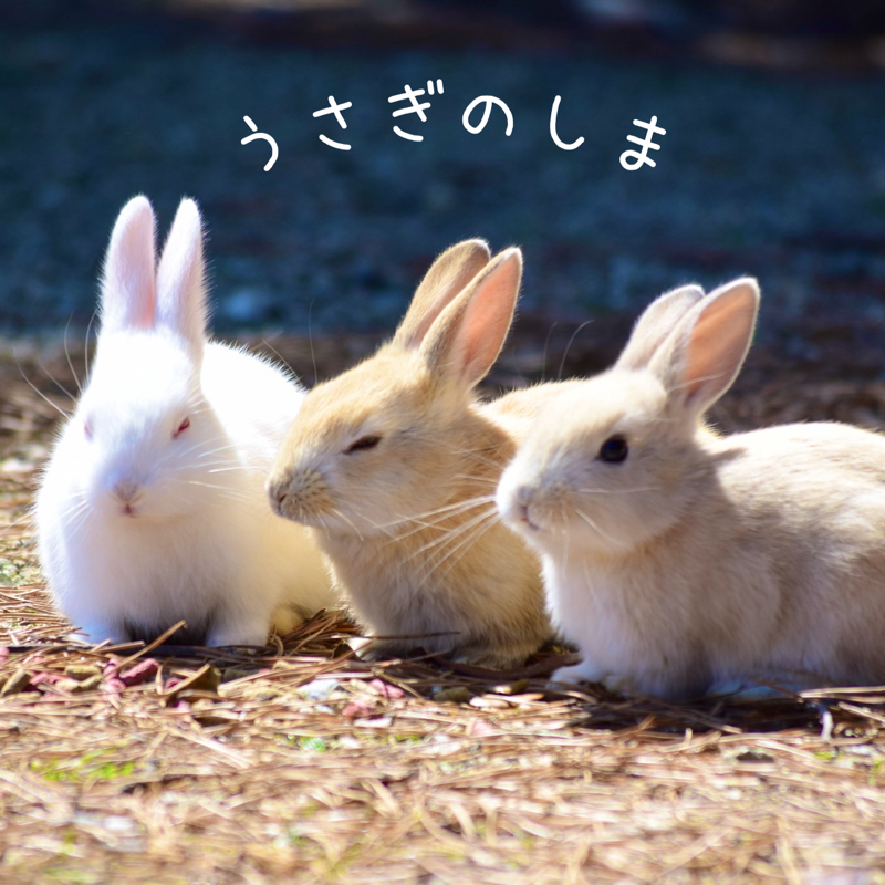かつて地図から消された島！