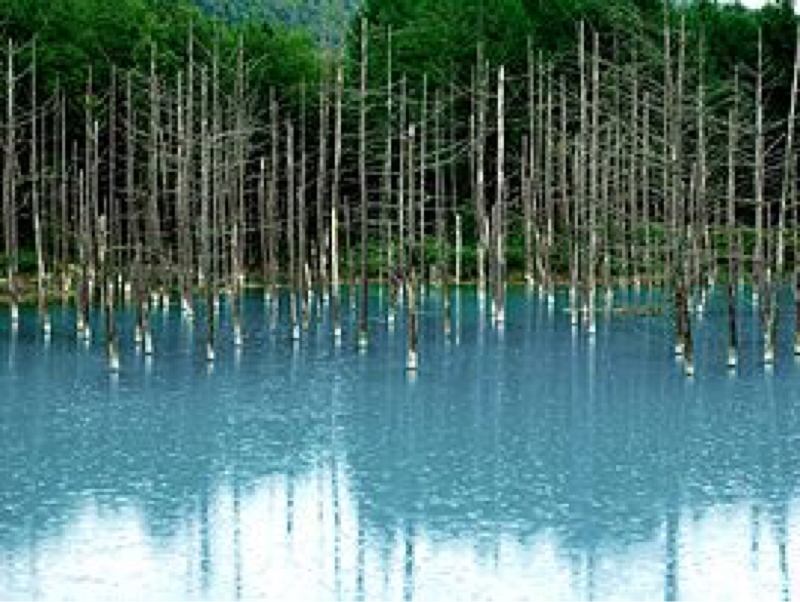 デートな二人①