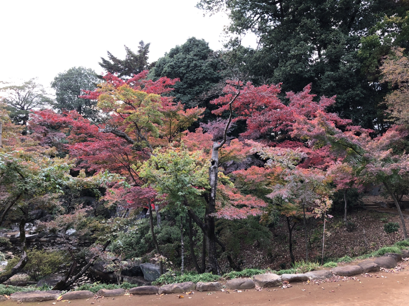 世界一かわいいあの子