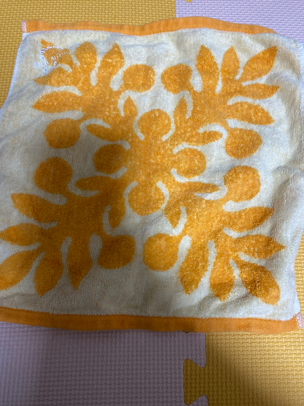 第8回　咲かせよう🌻実らそう🍊