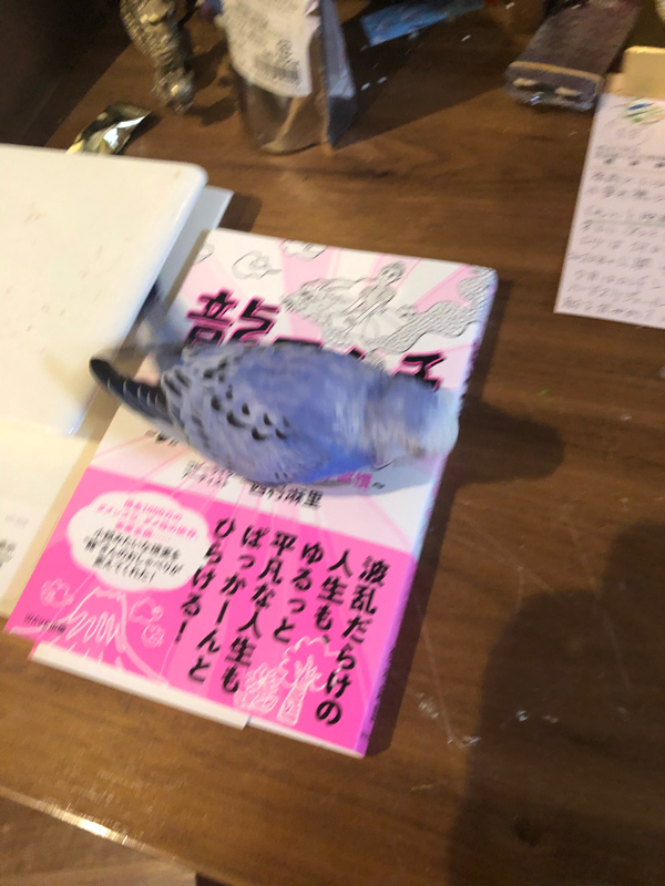 にしまりことだまり