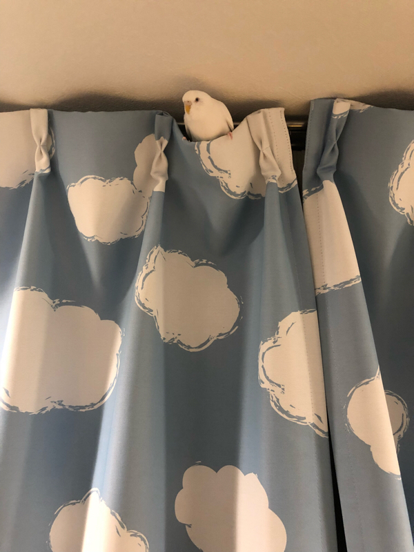 にしまりことだまり