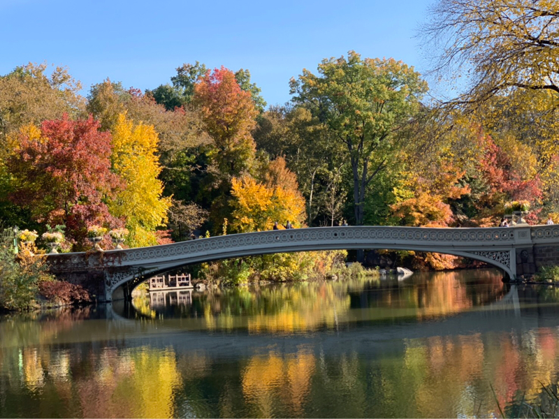 にしまりことだまり