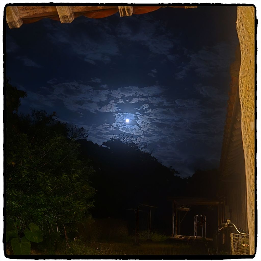 #290『八嶋智人のおばちゃまFRIDAY❤』旅の空からスペシャル🎵