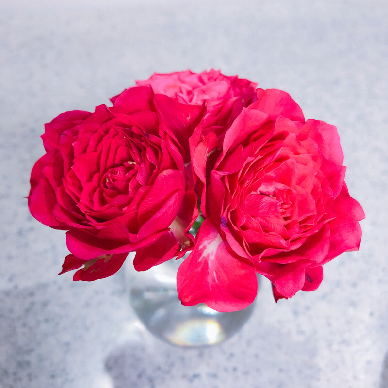 パートナーをチェンジするな