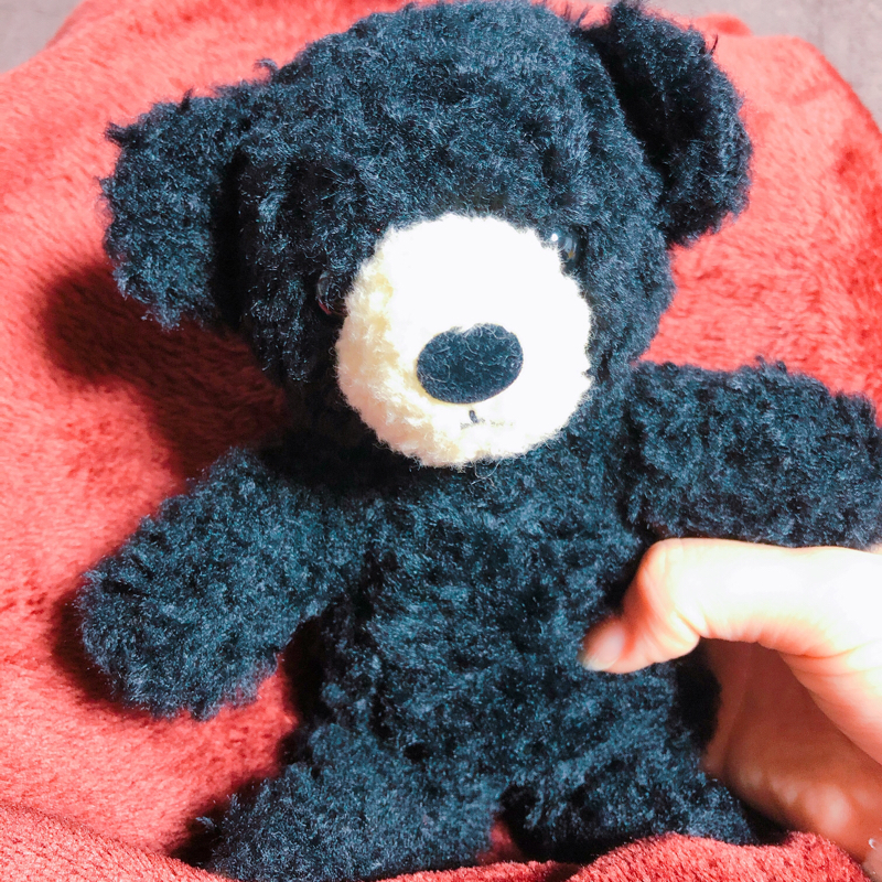 ヲタク 声について喋る