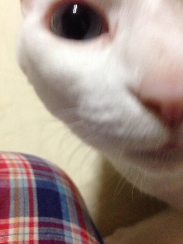 曲発表あったね