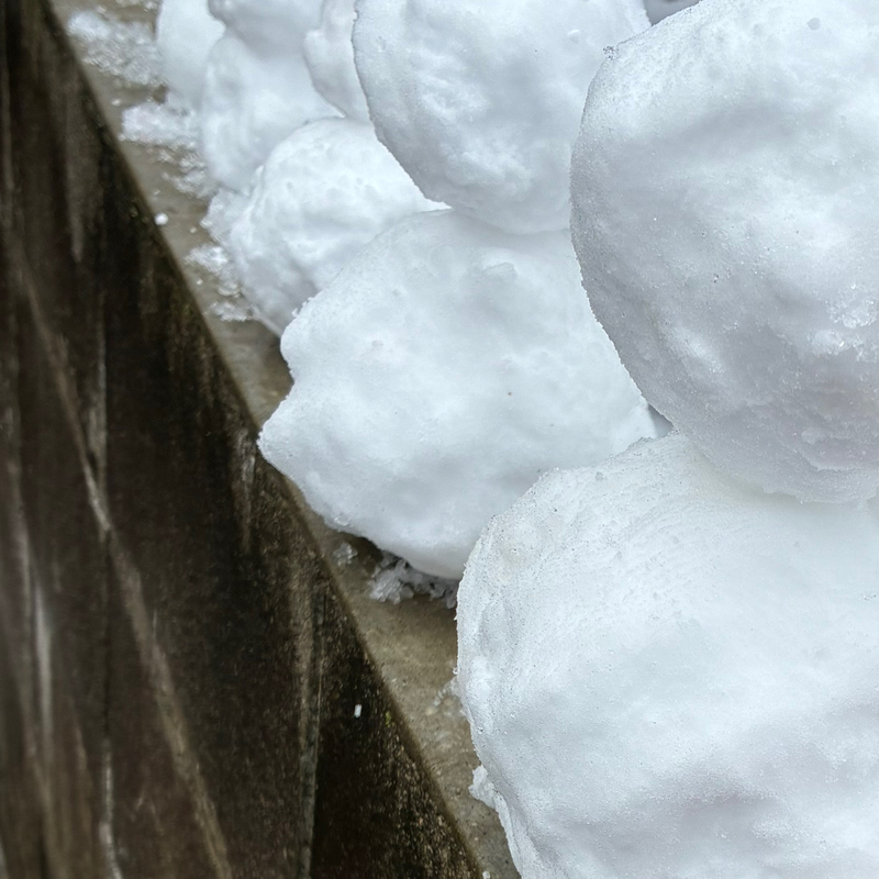 こりーくんに物申したい