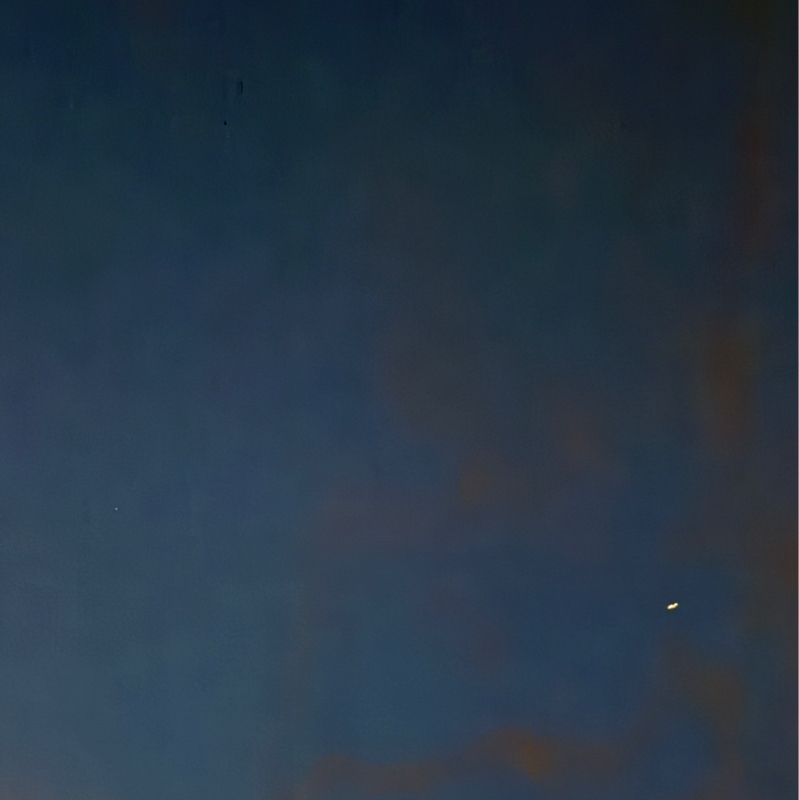 もあもあブラッド好きすぎ侍