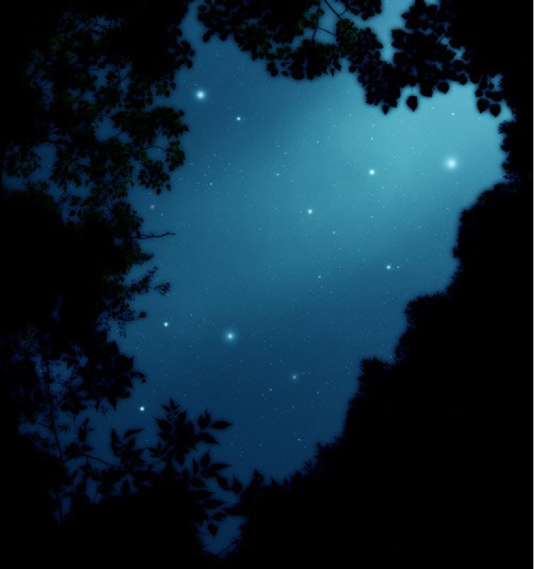 #2 初デートと誕生日