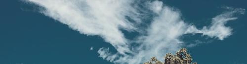 大般若を好きな事について語ってみる【初】