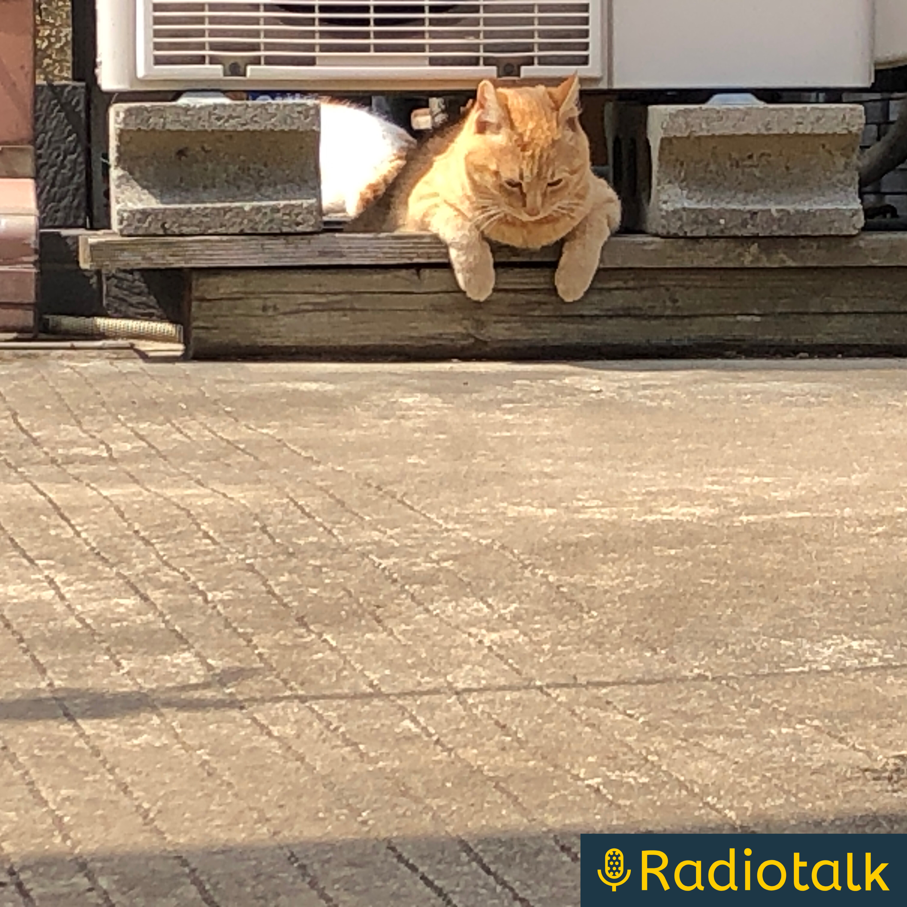 勉強と生活は似た者同士 cover art