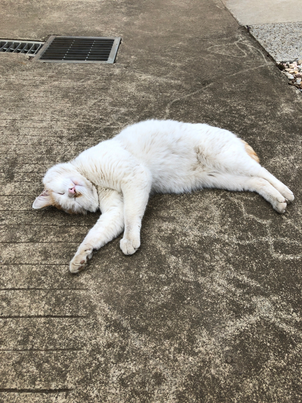 アインシュタインの思いと漫才師の思い