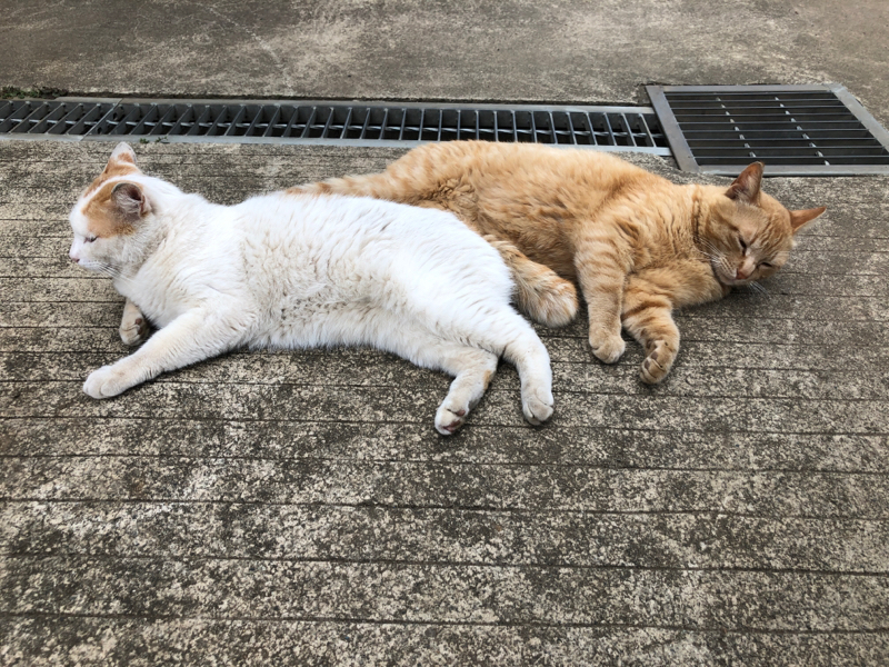 Beatlesのハローグッバイと弁証法