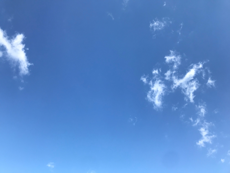 ハレルヤの今後について