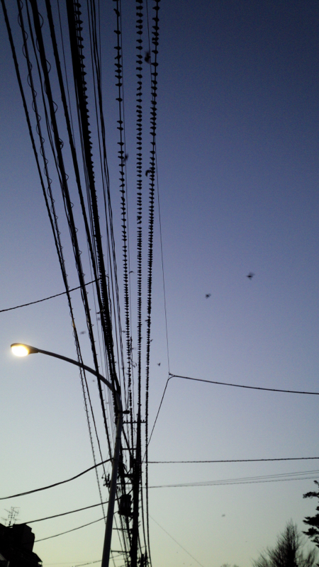 刀剣乱舞にまた戻ってきたよ