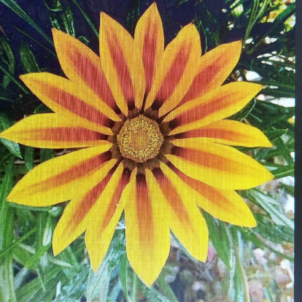 319 夏の砂の上