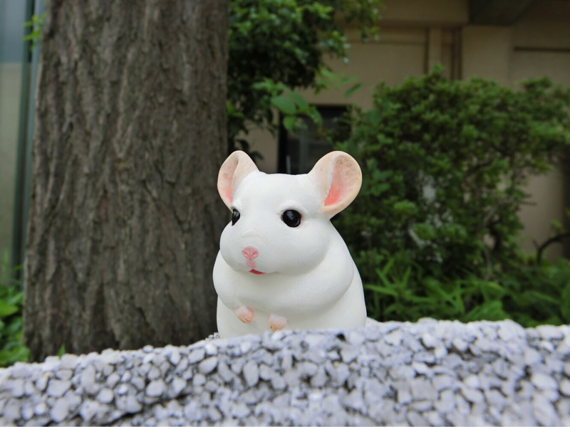 奥深い粘土の世界