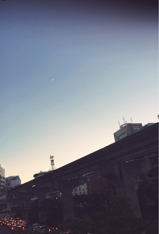 夢女は今日もかく語りき。