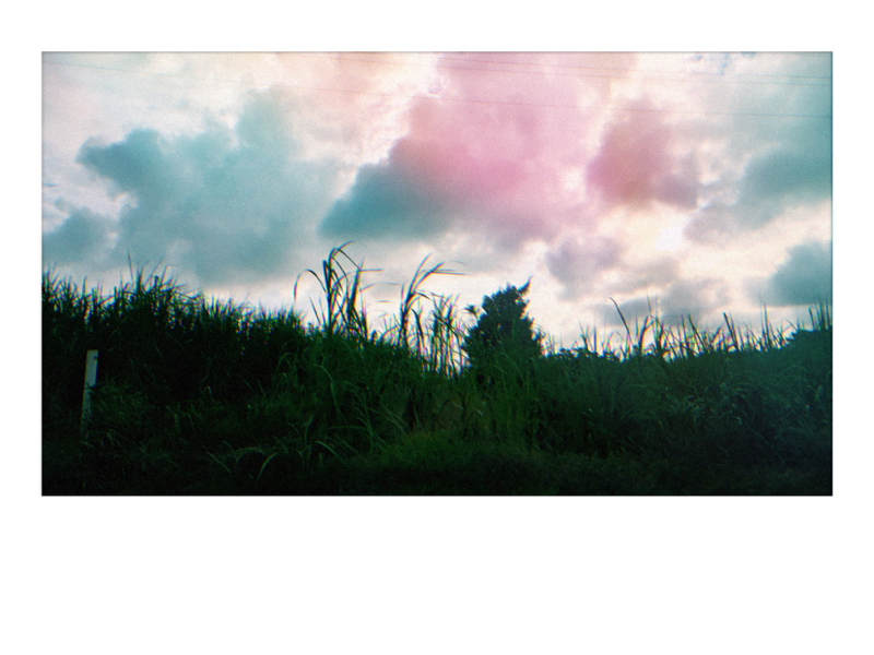 和菓子ラジオ #1 「フォロワー様の話」