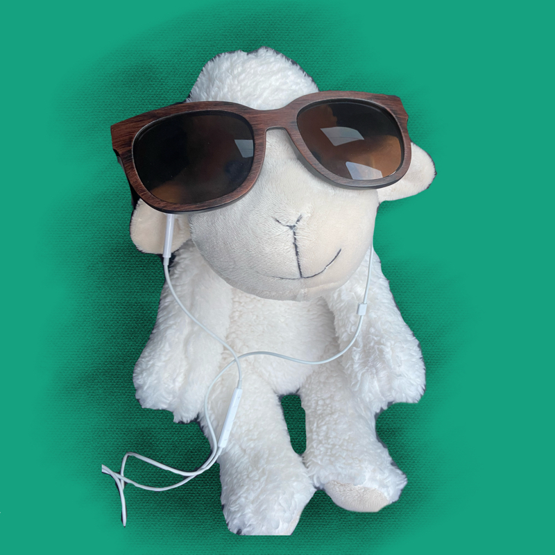 初ライブ配信後の音源