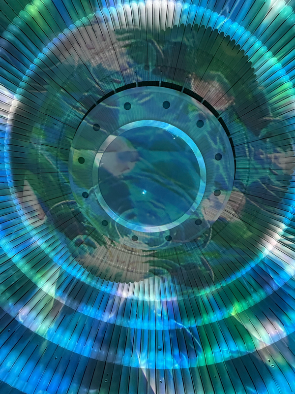 セフレ①VSアプリVSセフレ②