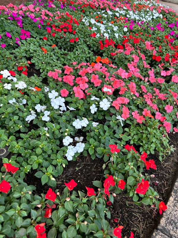 セフレ①と久々に会ったよ。