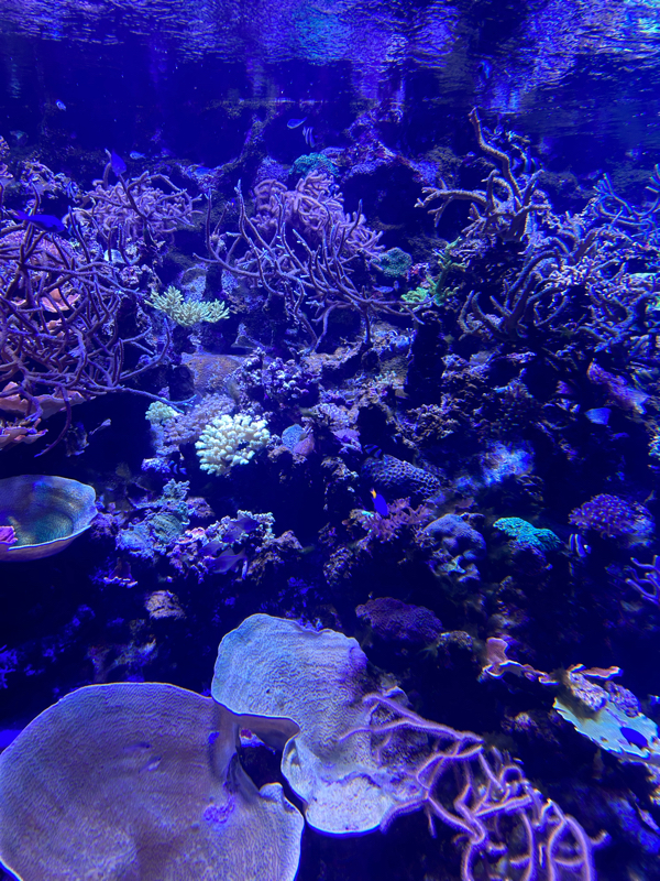 マッチングアプリの人と2回目