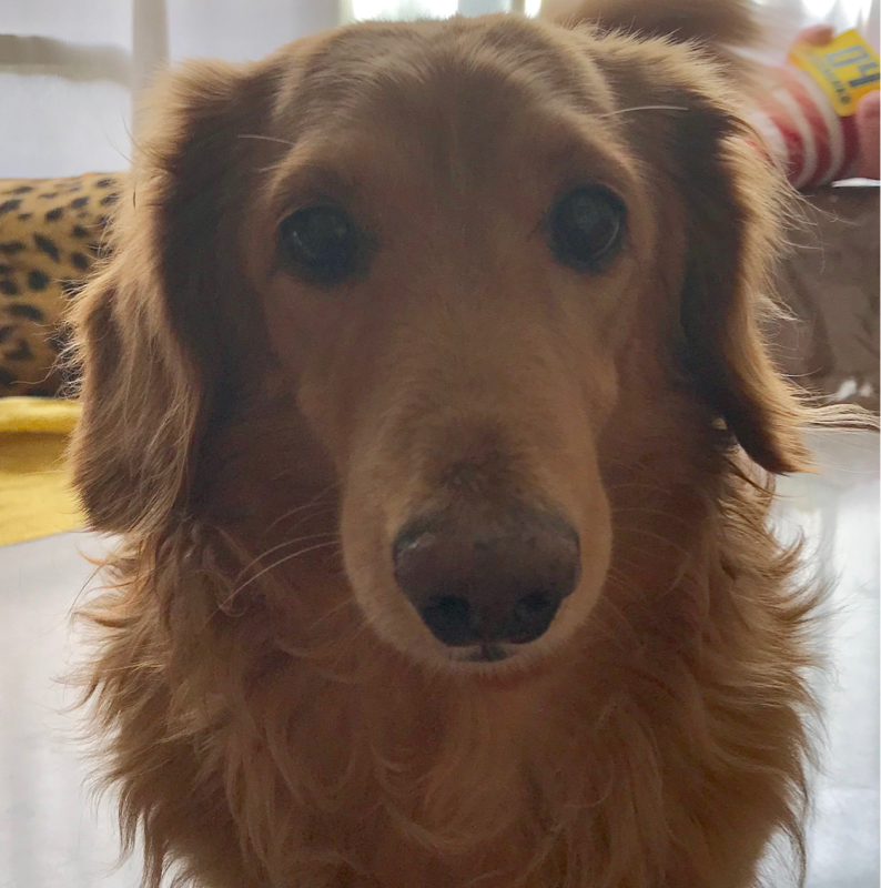 002銀歯取れた近況と参加してた別の音楽配信サービス徒然