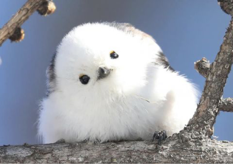 ユキエです^ ^ 楽しく、健やかにお過ごしいただけるケアのコツをお伝えします(๑>◡<๑)