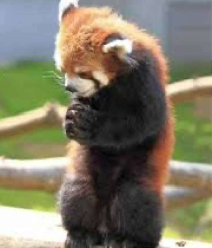 瞑想整体・・こういう人だからやってみて