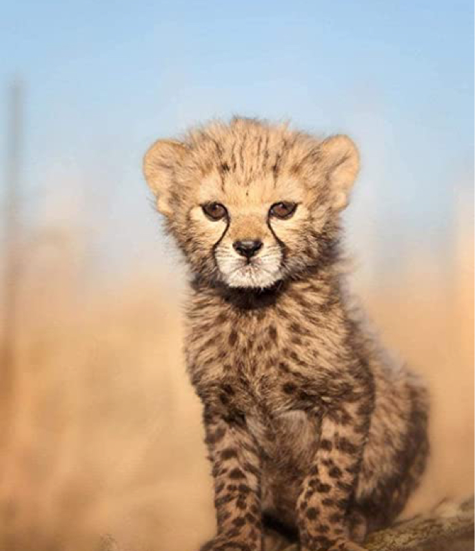 エネルギー不足を促している口癖？！