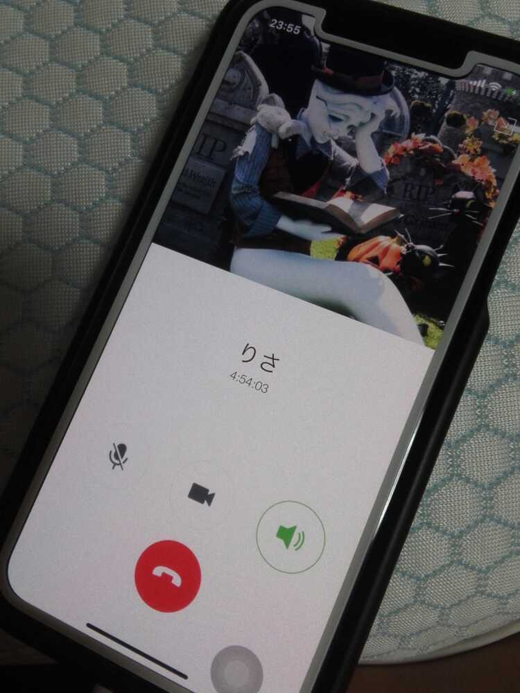 雌豚が喋ってるだけ