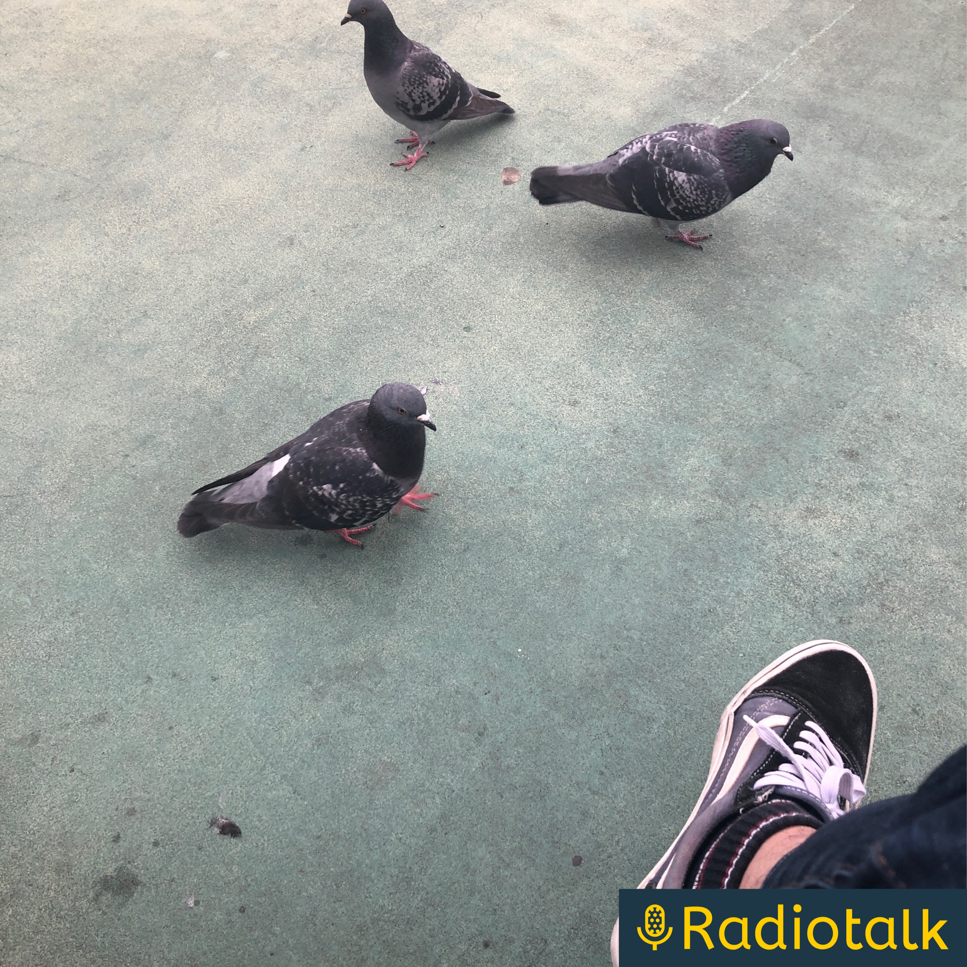 たーしょのラジオ♫ cover art